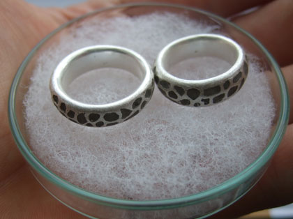 Trish and Lynz's rings