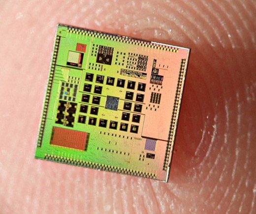 bionic chip